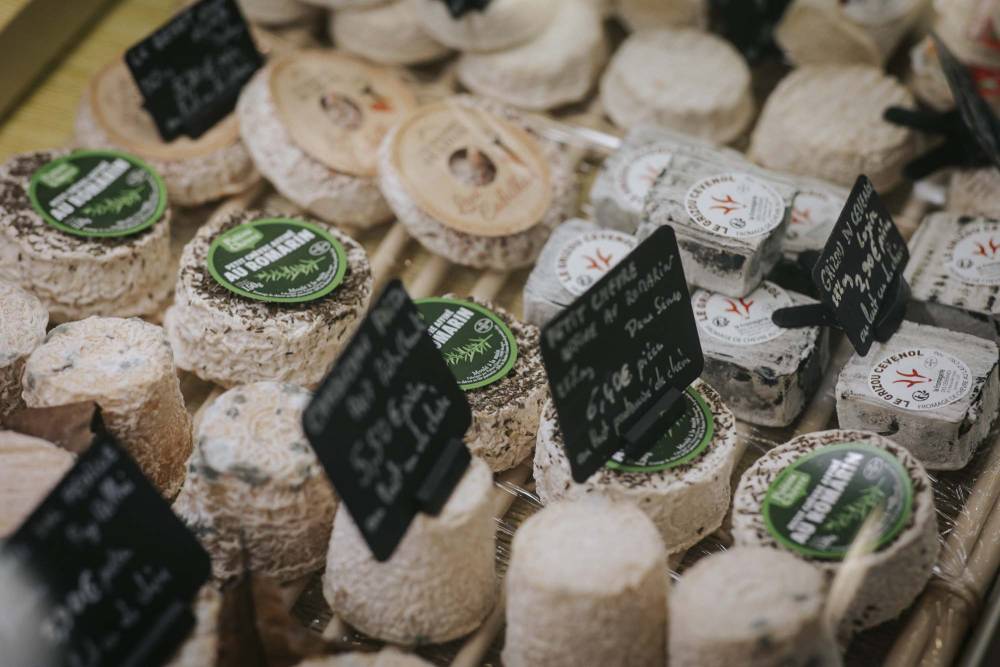 fromages de chèvre